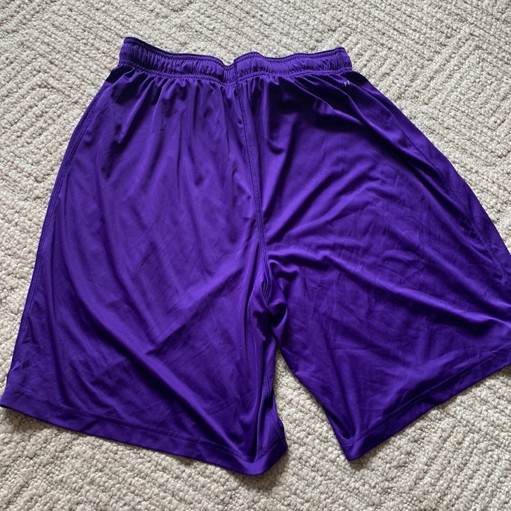 Nike drifit shorts